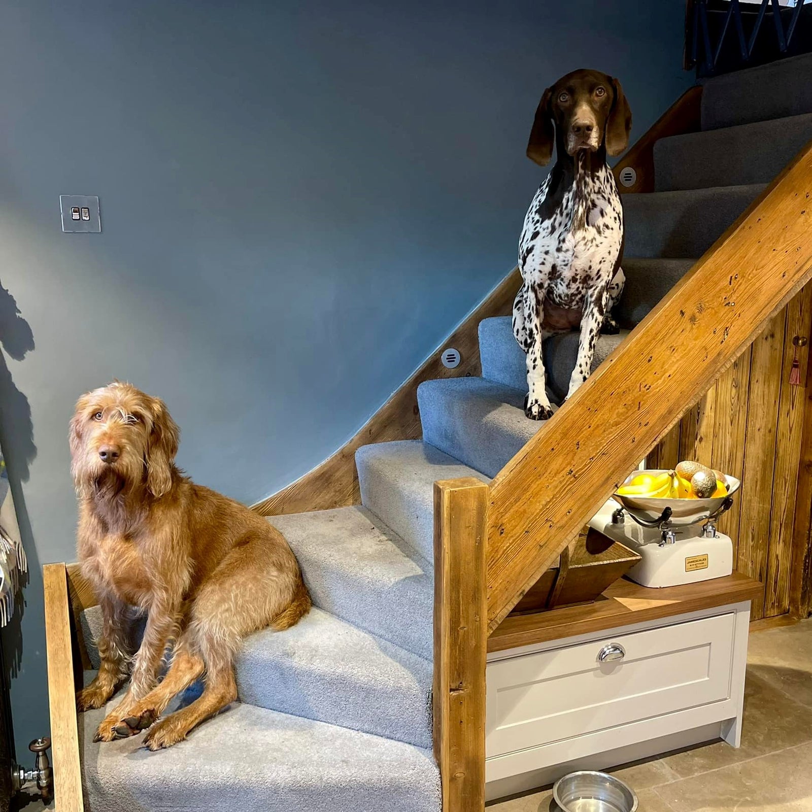 Gentlemens_Club_harmaa_seinamaali_Frenchic_Paint