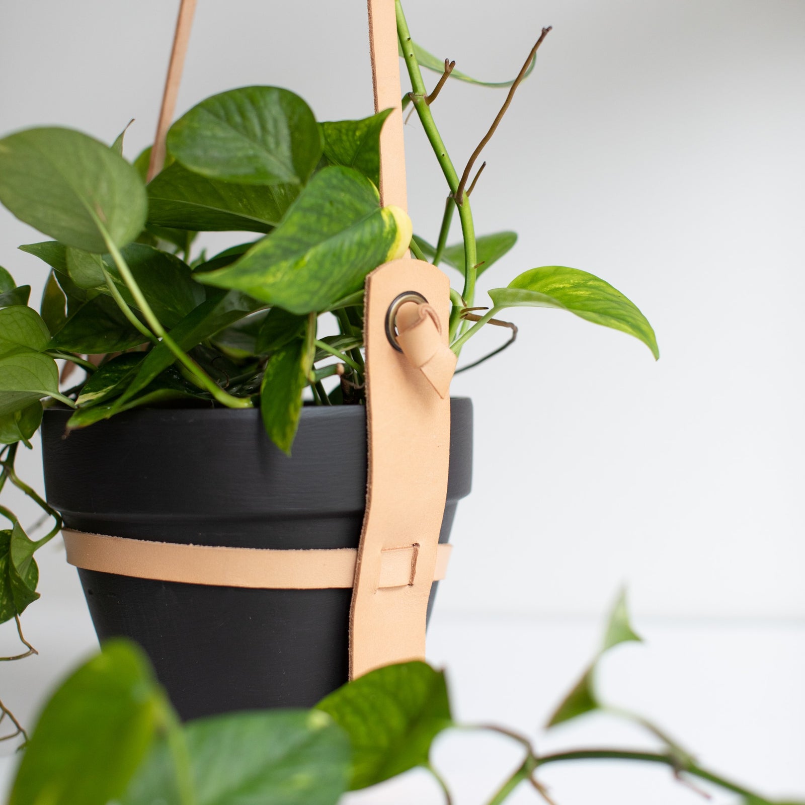 Loof_mattamusta_maalattu_ruukku_Frenchic_Paint_Finland