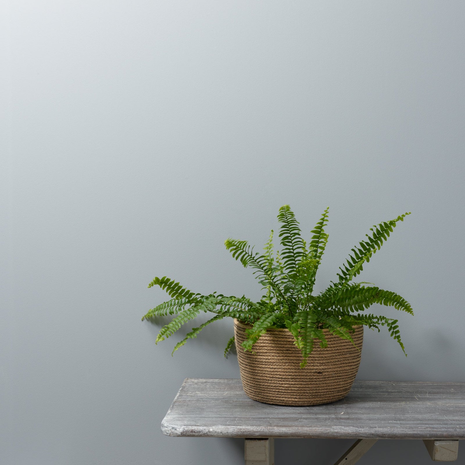 Harmaa maali seinälle ja oviin Seagull Frenchic.