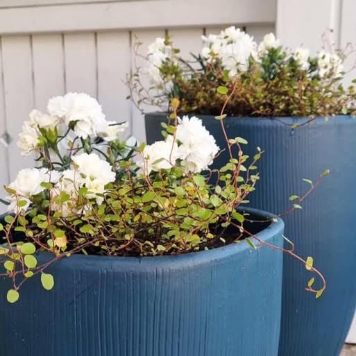 After_Midnight_Al_Fresco_ruukkujen_maalaus