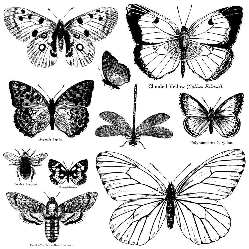 Butterflies stamp