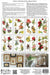 Catharina_siirtokuva_frenchic