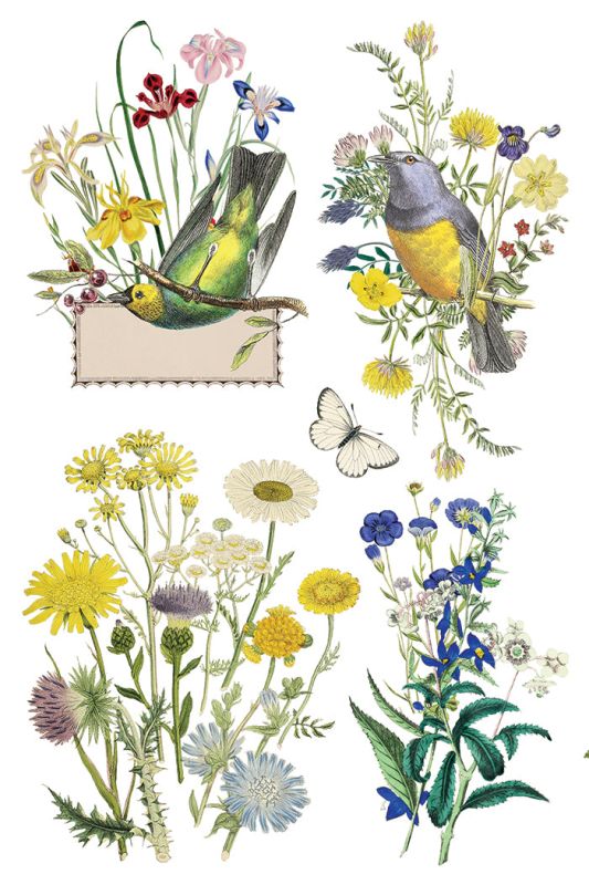 Flora Greca siirtokuva - 8 arkkia-Siirtokuva-Frenchic Paint Finland