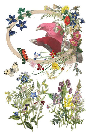 Flora Greca siirtokuva - 8 arkkia-Siirtokuva-Frenchic Paint Finland