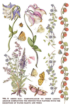 Primrose Isle siirtokuva - 8 arkkia-Siirtokuva-Frenchic Paint Finland
