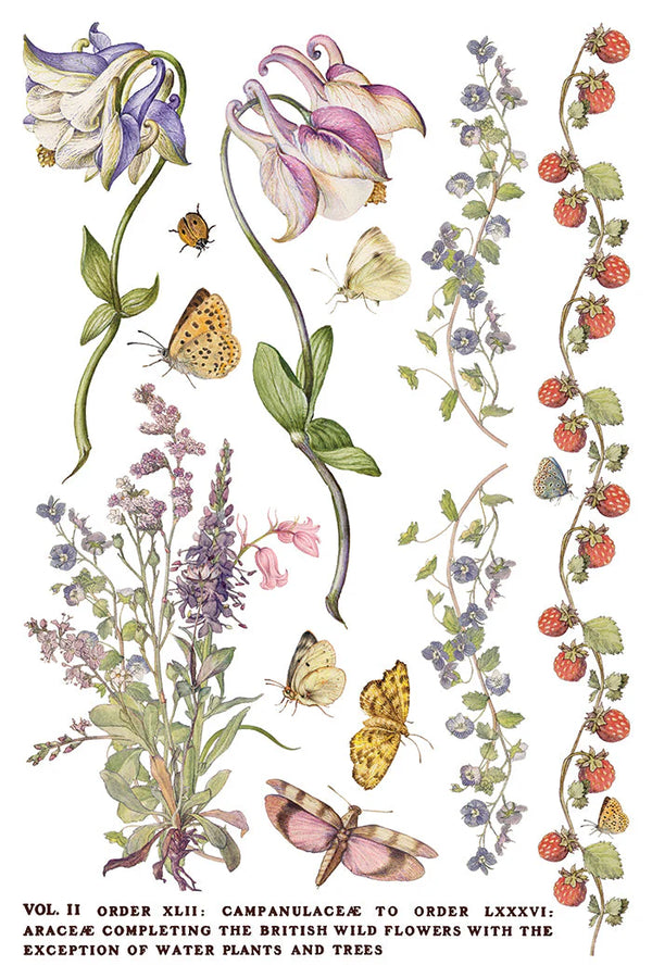 Primrose Isle siirtokuva - 8 arkkia-Siirtokuva-Frenchic Paint Finland