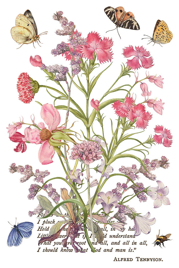 Primrose Isle siirtokuva - 8 arkkia-Siirtokuva-Frenchic Paint Finland