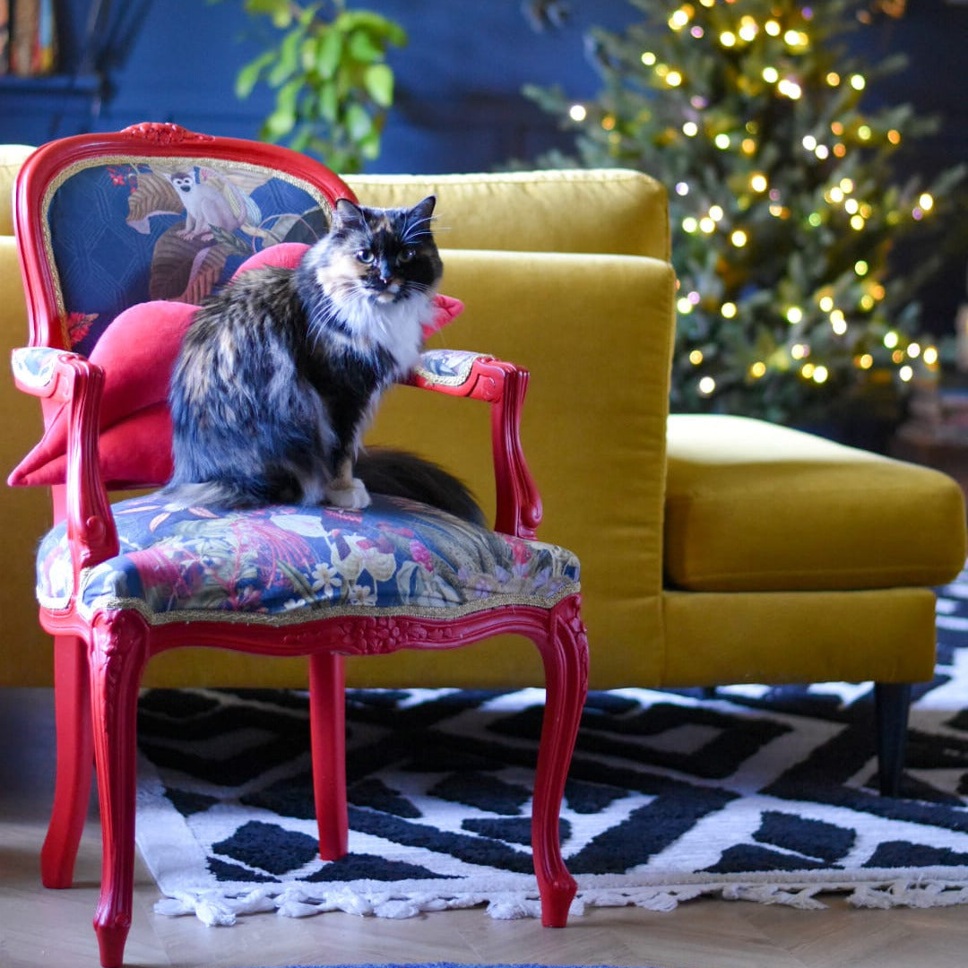 Punainen tuoli ja sininen seinä. 