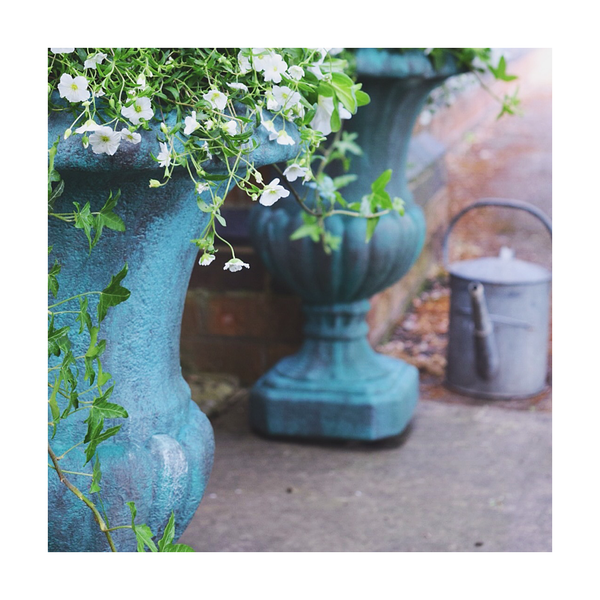 Saltwash® 283g - - Frenchic Paint Finland