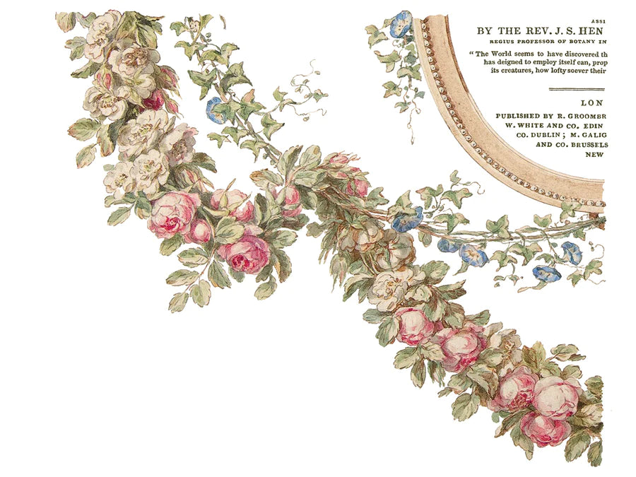 botanist-transfer-siirtokuvat- Frenchic. 