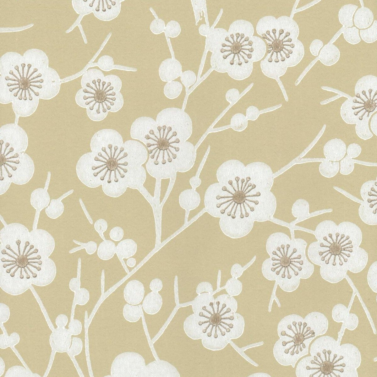 kirsikkapuu tapetti. 