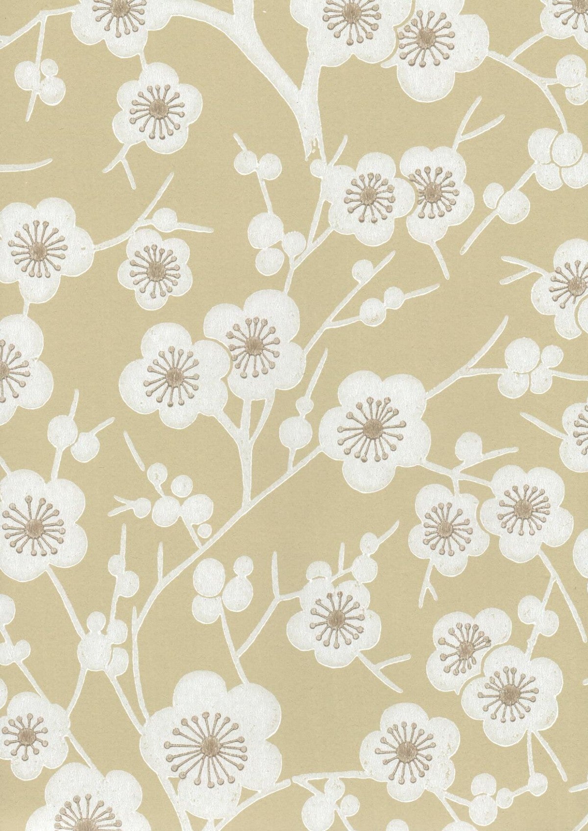 kirsikkapuu tapetti. 