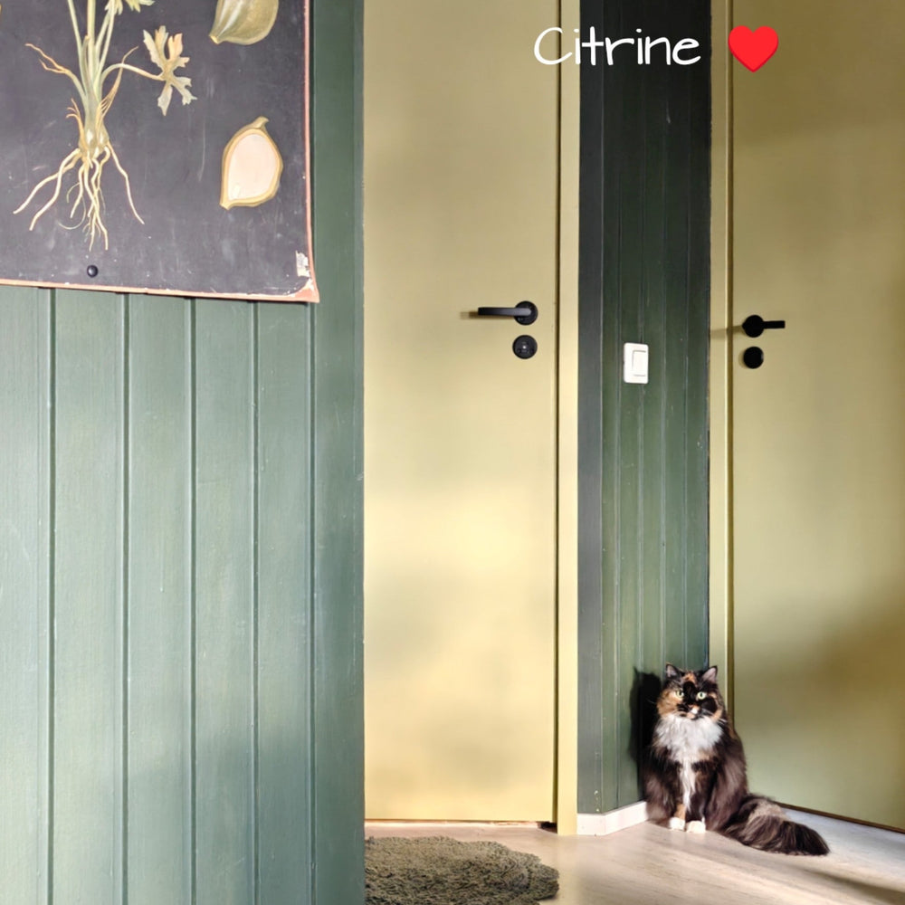 Citrine lime maali malli.