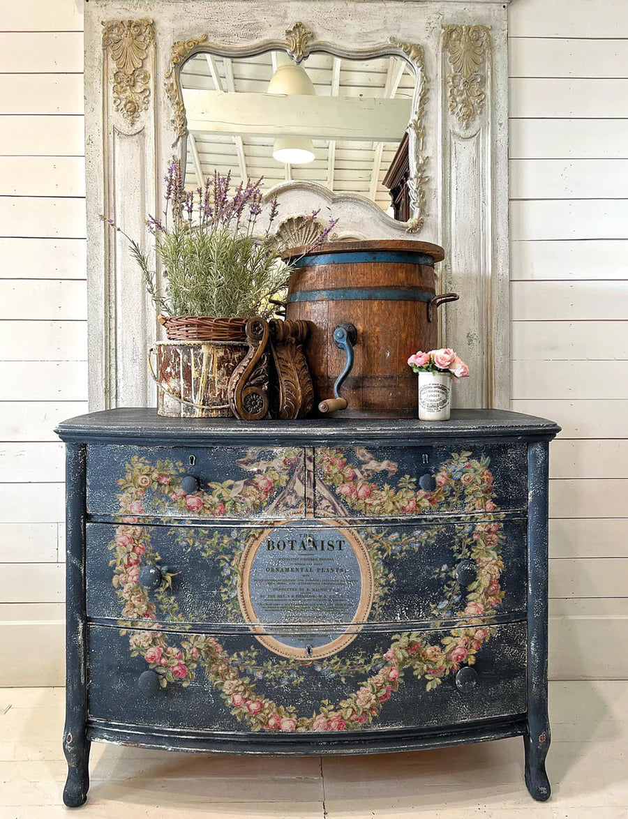 botanist-transfer-siirtokuvat- Frenchic. 