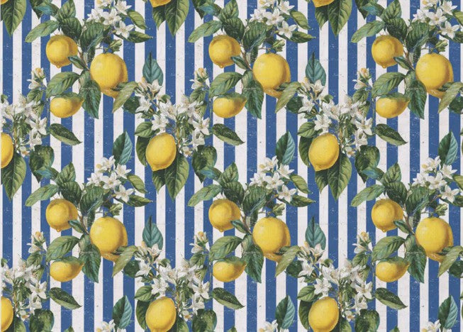 Vintage sitruuna - yksittäiset decoupage taidearkit Frenchic.