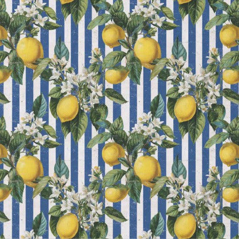 Vintage sitruuna - yksittäiset decoupage taidearkit Frenchic.