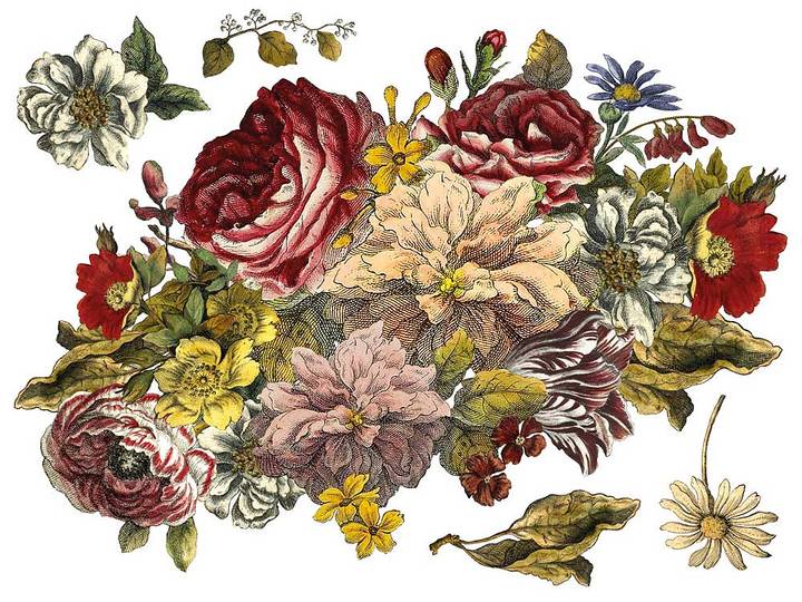 Pionit ja ruusut - Floral Anthology siirtokuva