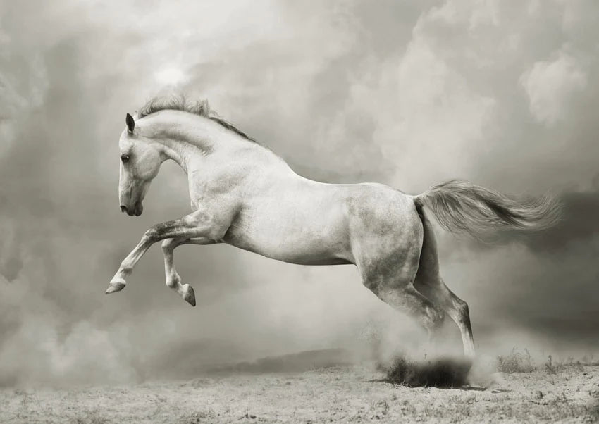 White Horse - Mint av Michelle