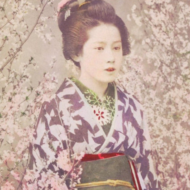 Geisha and cherry blossoms - single sheets