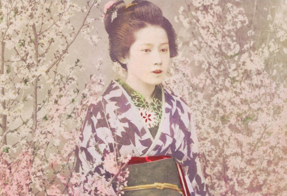 Geisha and cherry blossoms - single sheets